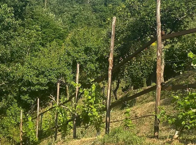 Apartment Maremonti - Con 3 Piscine