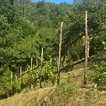 Apartmán Maremonti - Con 3 Piscine